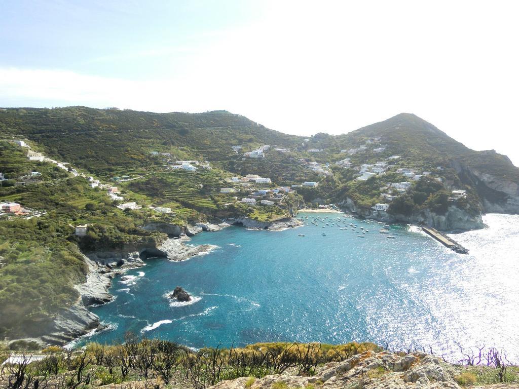 L'Incanto Di Cala Feola Ponza Buitenkant foto